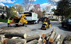 Best Firewood Processing and Delivery  in Hawkins, TX